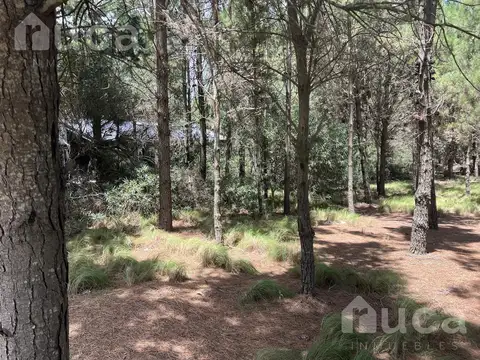 VENTA | EXCELENTE LOTE SENDEROS IV | Costa Esmeralda