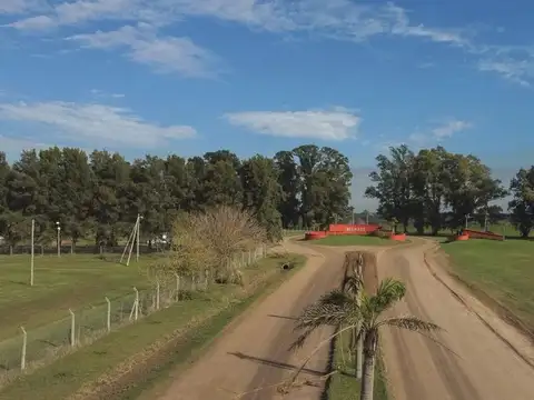 Ruta 6 km 142 Villa de Campo Tres Pinos