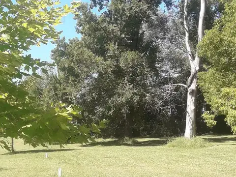 Lote en venta en Tortugas CC