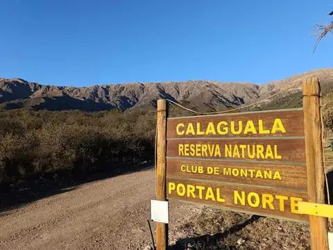 Camino de Damiana Vega 500