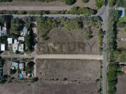 51 y 231