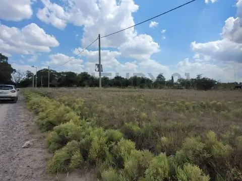 51 y 231