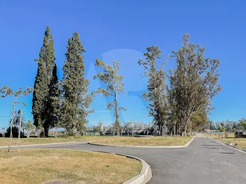 Terreno en Venta 9  mts Fondo