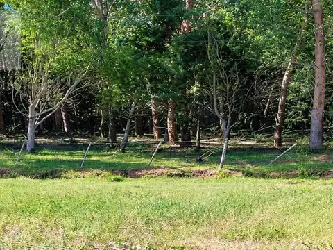 Terreno en Venta de 538,0 m2