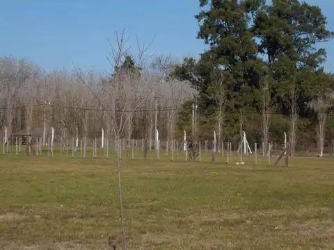 Terreno en Venta en Domselaar, USD 15.000