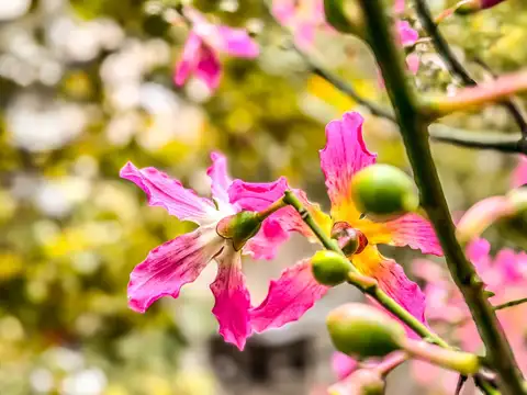 Departamento 6 ambientes con 3 baños