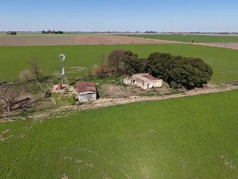 Campo 40 hectareas en Máximo Paz