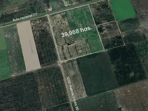 Campo 40 hectareas en Máximo Paz