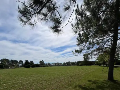 Terreno en Chacras de la Cruz