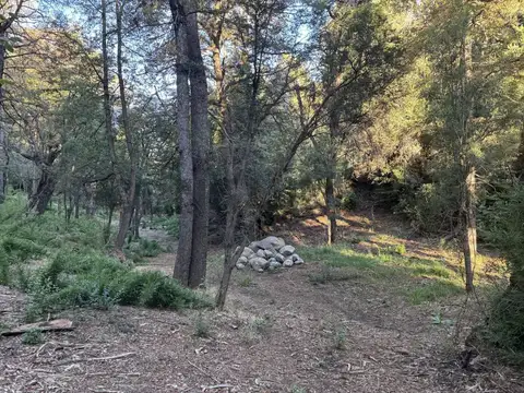Terreno en Venta de 16600,0 m2