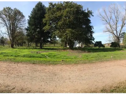 Terreno en Venta de 350,0 m2