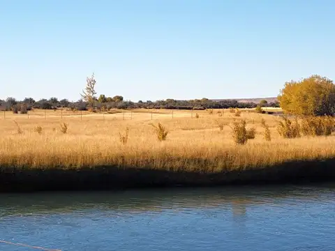 Estancia con excelentes recursos para optimizar su producción..!