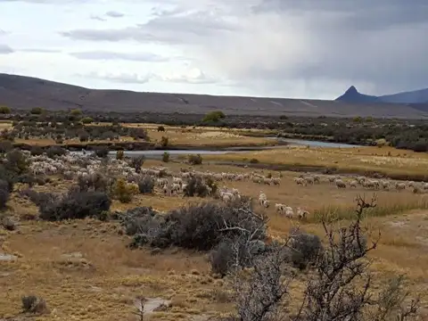 Estancia con excelentes recursos para optimizar su producción..!