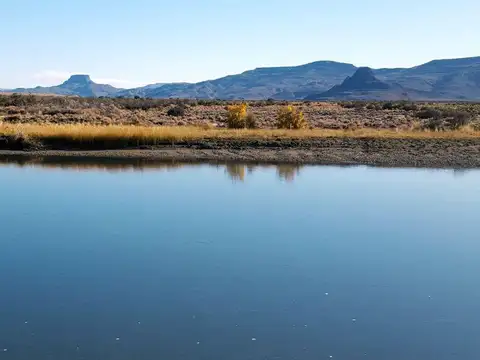 Estancia con excelentes recursos para optimizar su producción..!