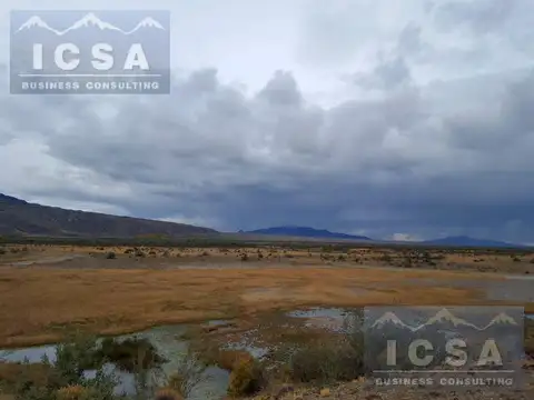 Campo - Precordillera de Santa Cruz
