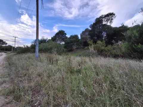 Terreno en Venta 20  mts Frente