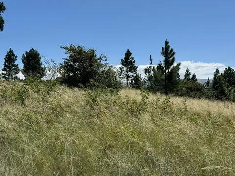 Terreno en Venta de 10089,0 m2