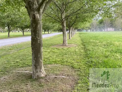 Terreno en Venta de 3289,0 m2