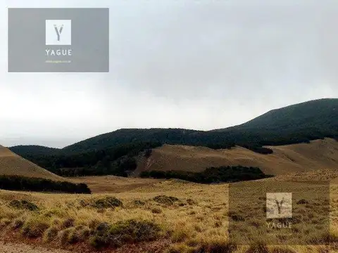 Establecimiento Agropecuario en Cordillera Santa Cruz