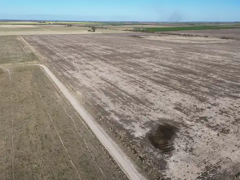 Campo en Venta Agrícola