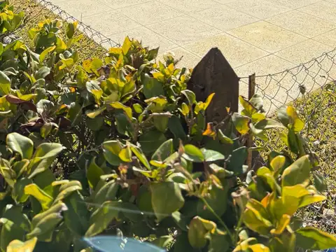 Olivares 200 - Villa los  Remeros