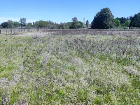 Lote Unico de 1 Ha en Carlos Keen Lujan
