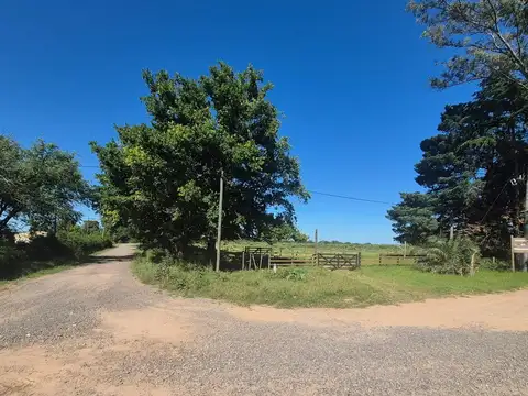 Colonia Suiza Baradero