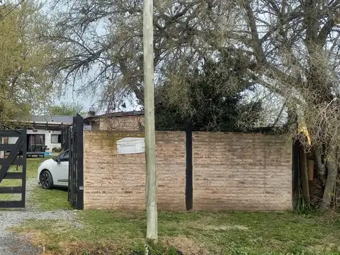 Almafuerte 100