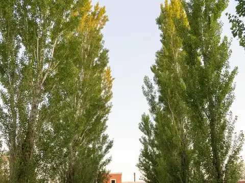 Casa en Venta en Estancia Benquerencia Farm Club, USD 465.000