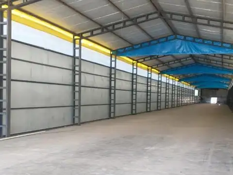 Ruta 65, 3 km de Allen