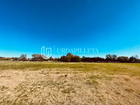 Terreno en Venta 39  mts Fondo