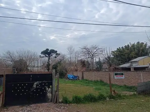 Nicolas Torelli Esq Schilla