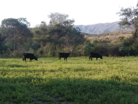 Terreno en Venta en La Merced, USD 600.000