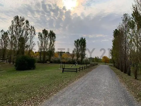Terreno en Venta en Chacras De La Reserva, USD 55.000