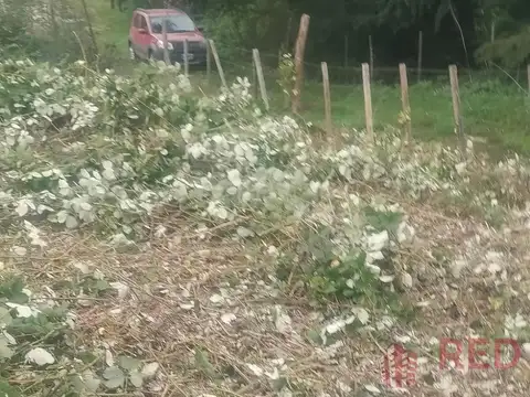 Terreno en Venta en La Cumbrecita, USD 70.000