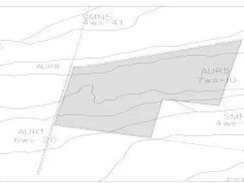 287 hectareas en venta 100% agricolas en Colonia Belgrano