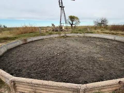 287 hectareas en venta 100% agricolas en Colonia Belgrano
