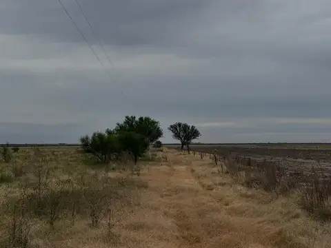 287 hectareas en venta 100% agricolas en Colonia Belgrano