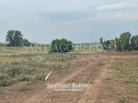 La Reserva. Los Cardales