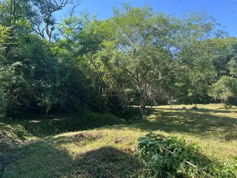 San Lorenzo