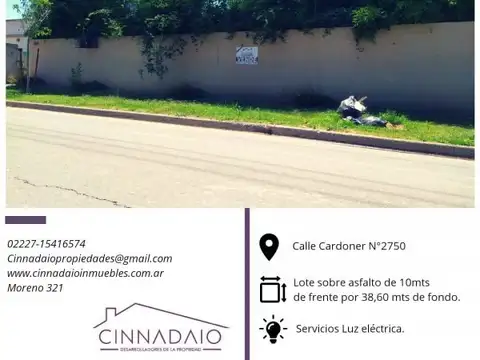 Cardoner 100