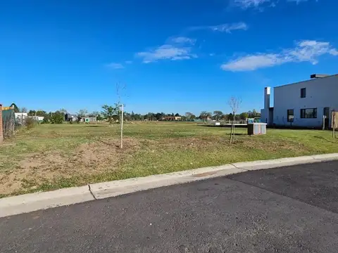 Terreno en Alquiler en Pilar Del Este - Santa Elisa, $ 54.000