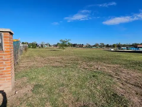 Almte. Guillermo Brown 4224