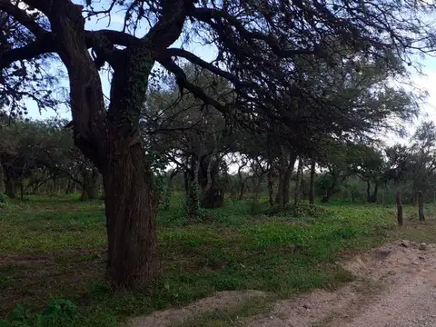 Lotes en venta en Los Molles Centro!