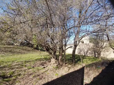 Terreno en Venta 12  mts Frente