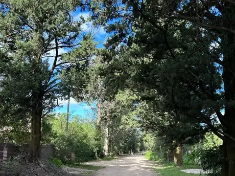 Terreno en Venta en Villa Anisacate, USD 24.000