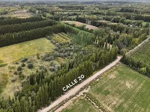 Zona Rural, Centenario, Calle 20, Lote 75 100