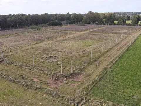 Terreno en Venta de 332,0 m2