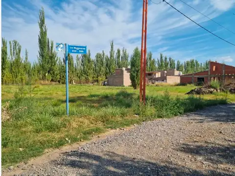 Terreno en Venta en Villa Manzano, USD 12.000