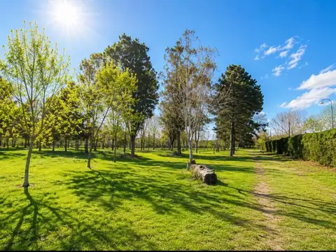 Terreno en Venta en Juan María Gutiérrez, USD 40.000